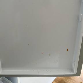 Student Accommodation Cleaning Liversedge